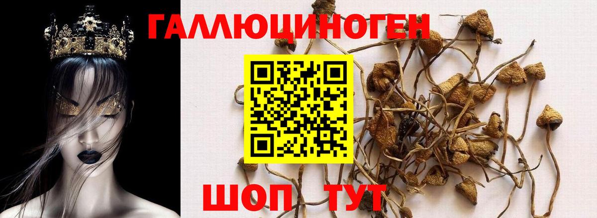 Галлюциногенные грибы GOLDEN TEACHER Нягань